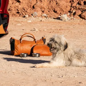 Aston Martin DBX Dog Accessories Kit