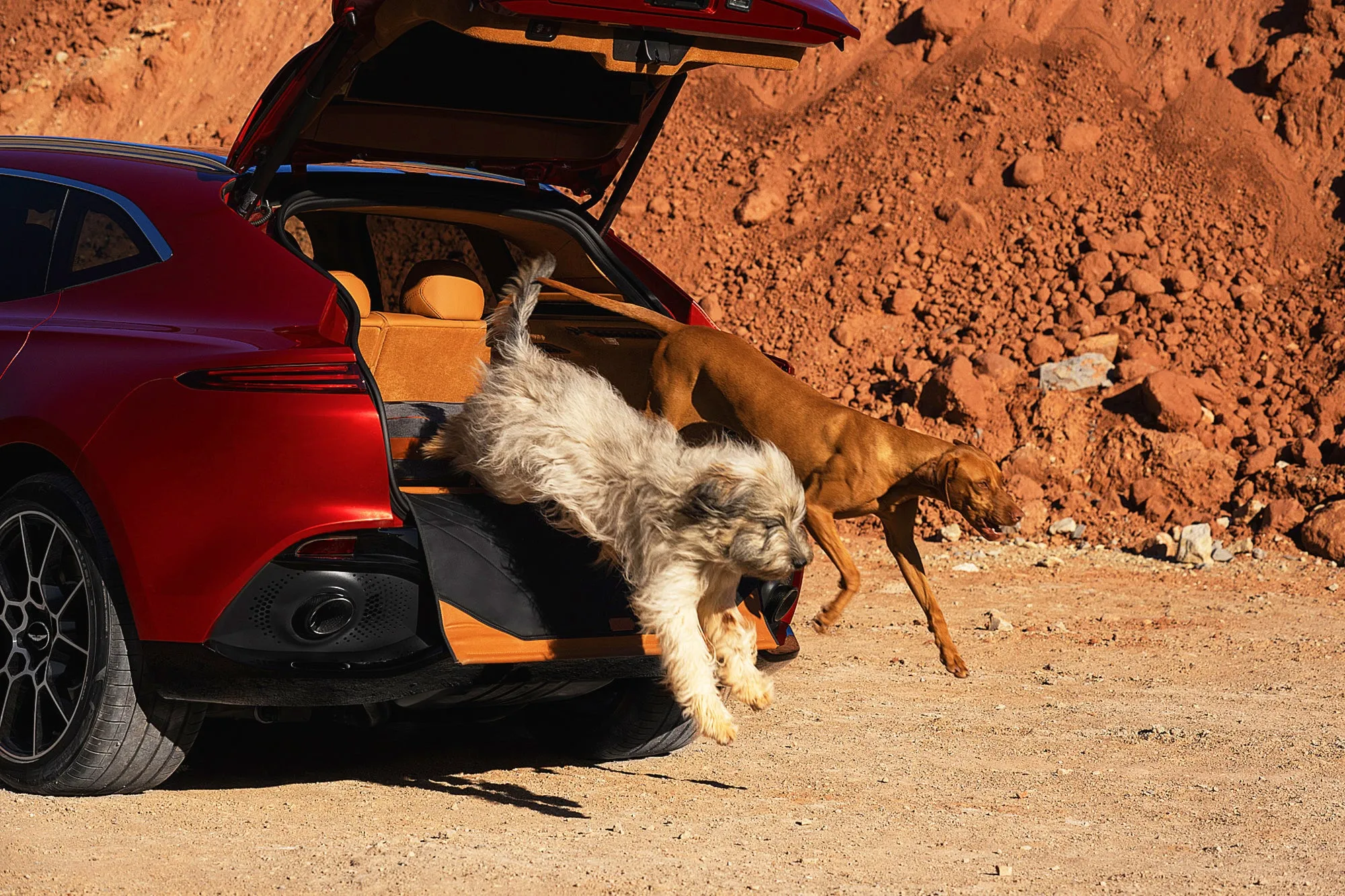 Aston Martin DBX Pet Pack